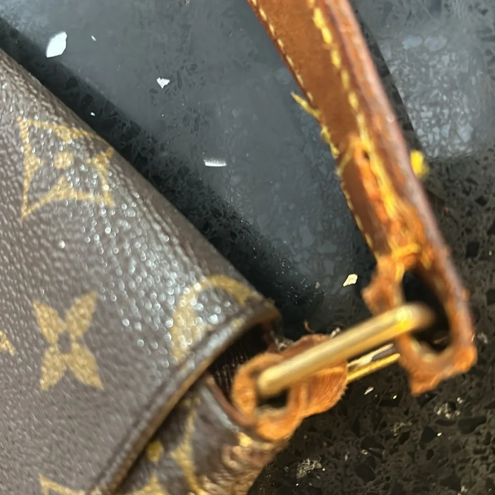 Louis Vuitton RunWay Bag - Picture 15 of 16